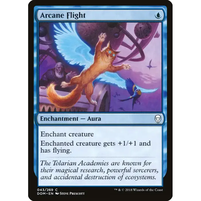 Magic: The Gathering Arcane Flight (043) Near Mint