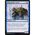 Magic: The Gathering Mistford River Turtle (056) Near Mint