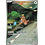Pokemon Kangaskhan (110) Near Mint Holofoil - Japanese