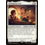 Magic: The Gathering Belladonna Took (004) Lightly Played Foil