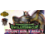 Bandai 10/12/26 Fountain Valley Digimon Evolution Cup 2026 Vol. 3 Monday 6 PM