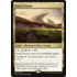 Magic: The Gathering Savai Triome (253) Lightly Played