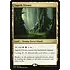 Magic: The Gathering Zagoth Triome (259) Lightly Played Foil