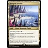 Magic: The Gathering Raugrin Triome (251) Lightly Played