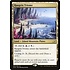 Magic: The Gathering Raugrin Triome (251) Lightly Played
