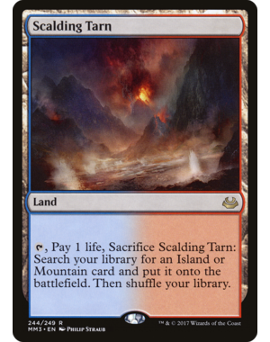 Magic: The Gathering Scalding Tarn (244) Lightly Played