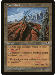 Magic: The Gathering Wasteland (340) Moderately Played