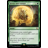 Magic: The Gathering Heroic Intervention (249) Near Mint