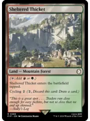 Magic: The Gathering Sheltered Thicket (289) Near Mint