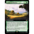 Magic: The Gathering Carpet of Flowers (Extended Art) (475) Lightly Played