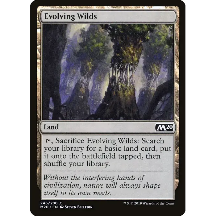 Magic: The Gathering Evolving Wilds (246) Near Mint
