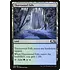 Magic: The Gathering Thornwood Falls (258) Near Mint