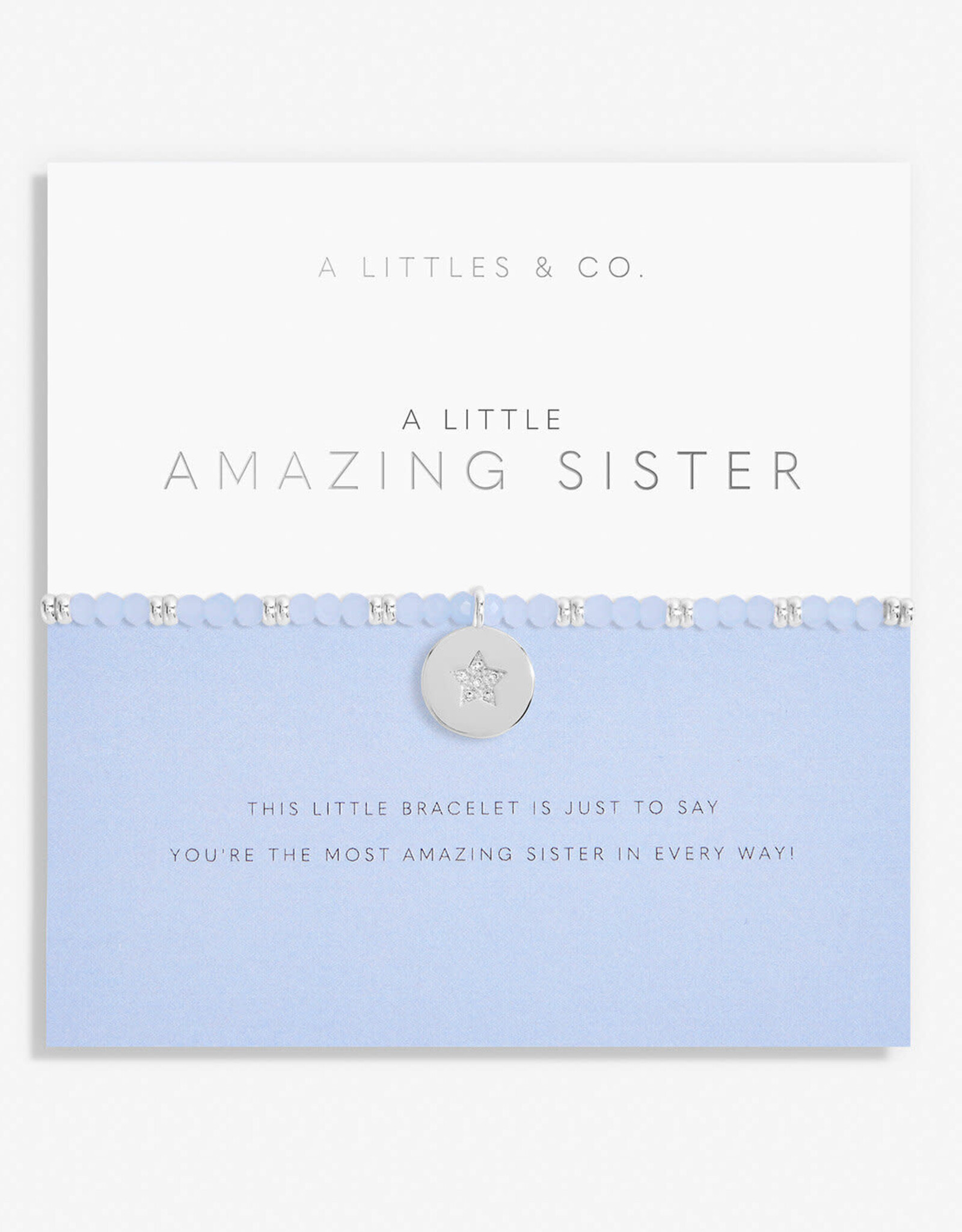 A Littles & Co. A Little Amazing Sister