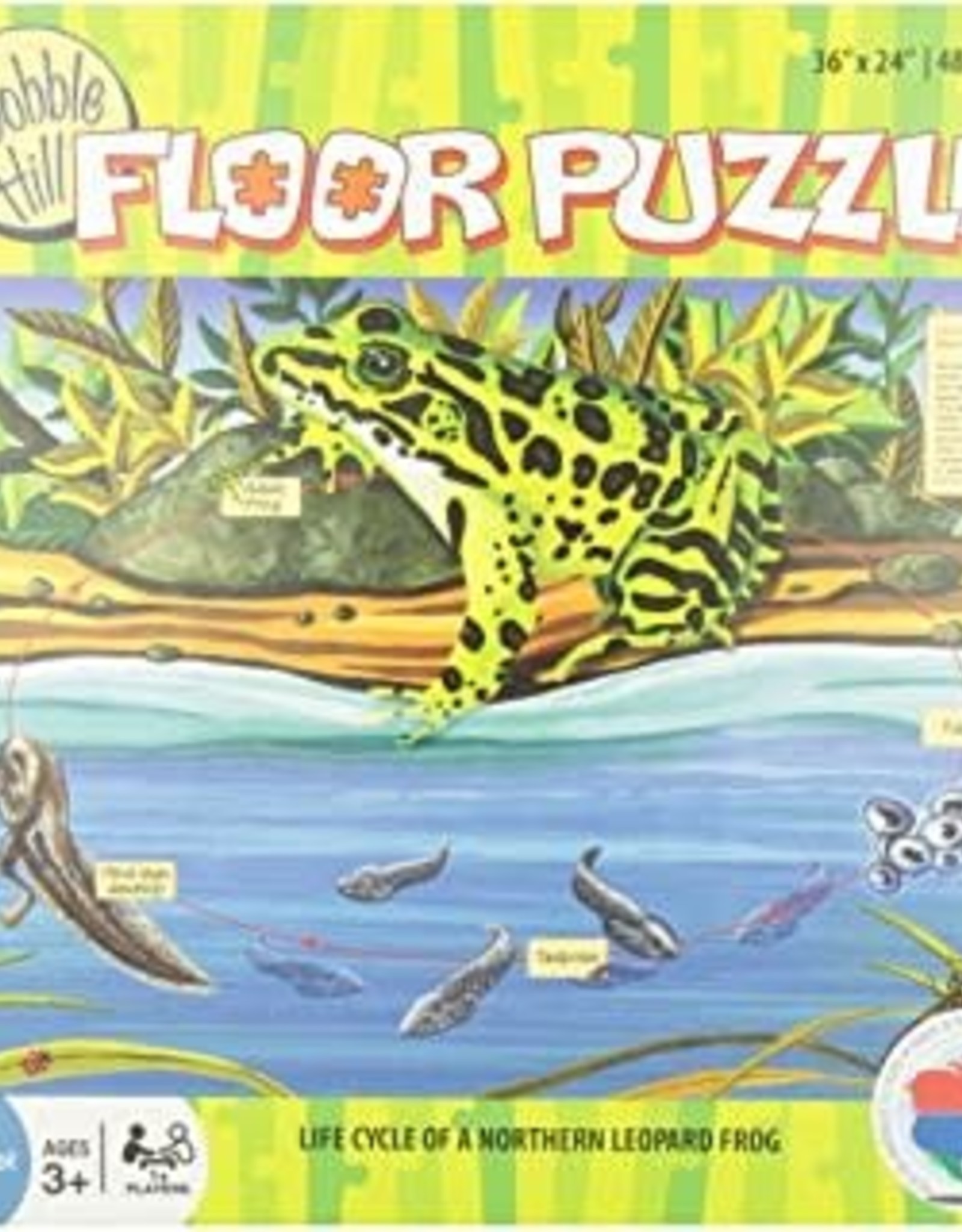 Cobble Hill Life Cycle of a Northern Leopard Frog 48 Piece Floor Puzzle
