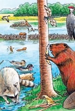 Cobble Hill The Beaver Pond (Tray Puzzle)