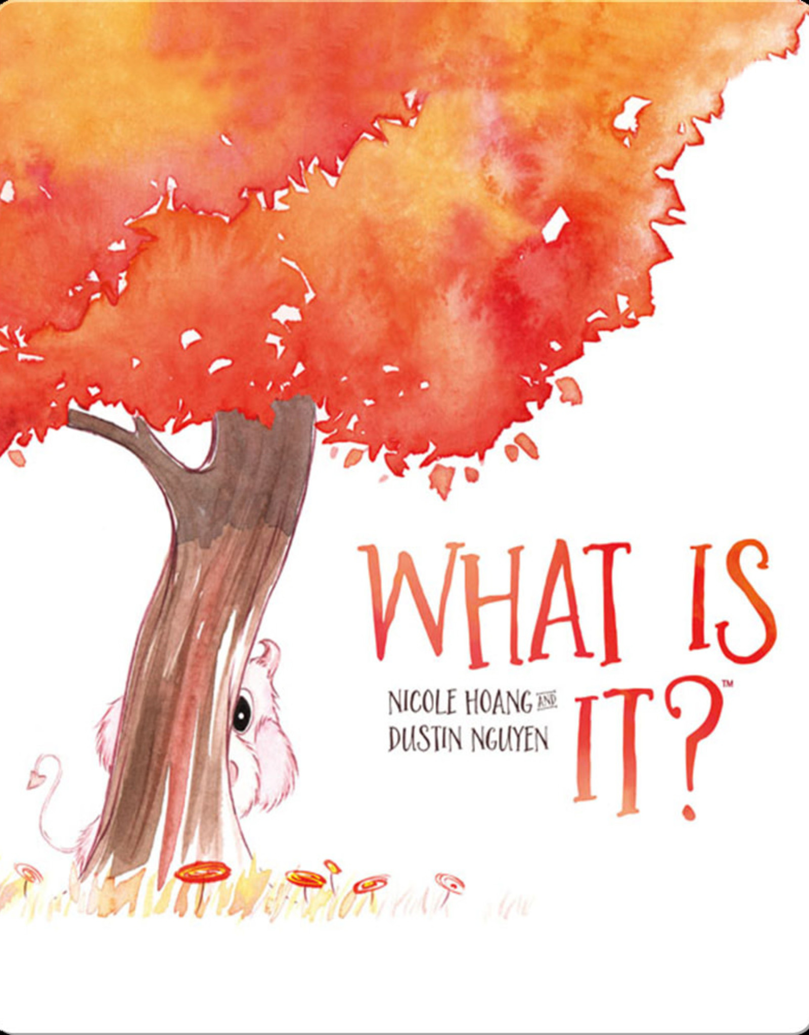 kaboom What Is It? by Nicole Hoang and Dustin Nguyen
