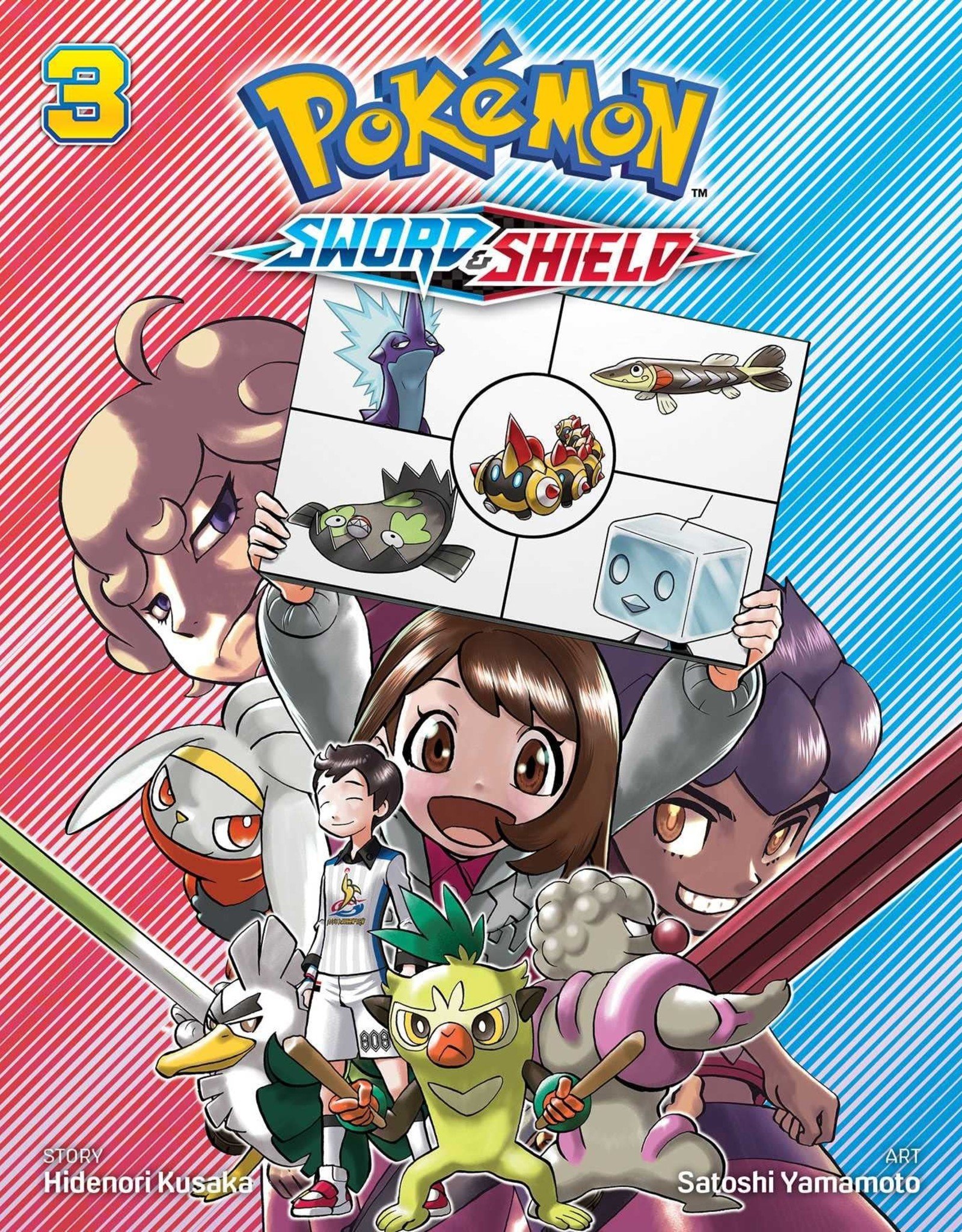 Pokémon: Sword & Shield, Vol. 3