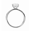 Engagement Ring Semi Mount for 1ct Round with Hidden Diamond Halo in 14k White Gold: 0.06ct Diamonds