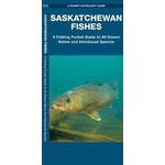 Saskatchewan Fishes: A Folding Pocket Guide - Matthew Morris