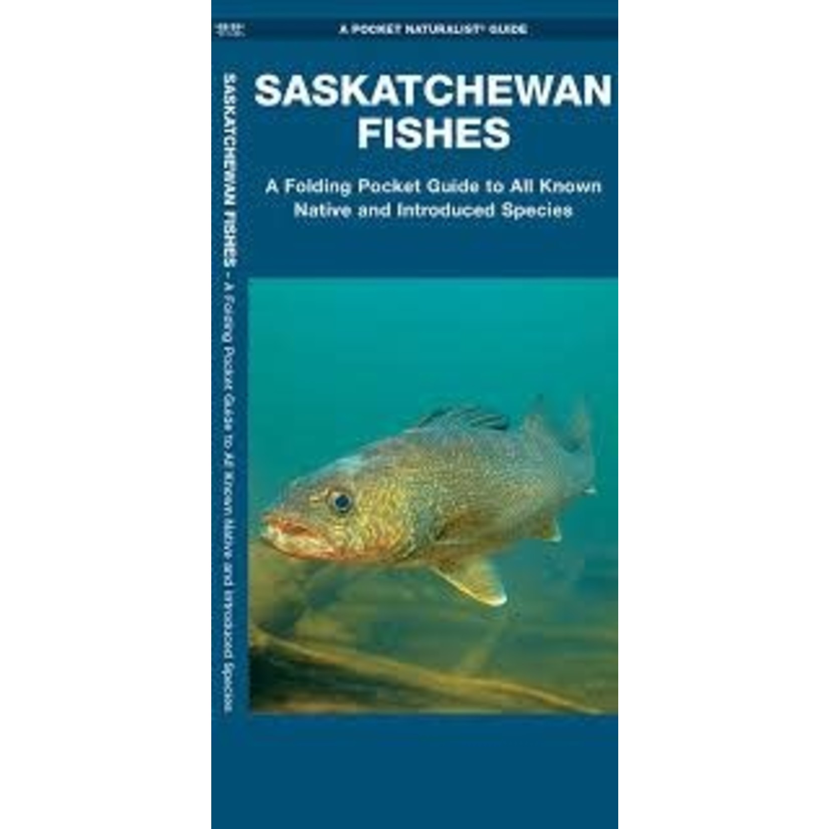 Saskatchewan Fishes: A Folding Pocket Guide