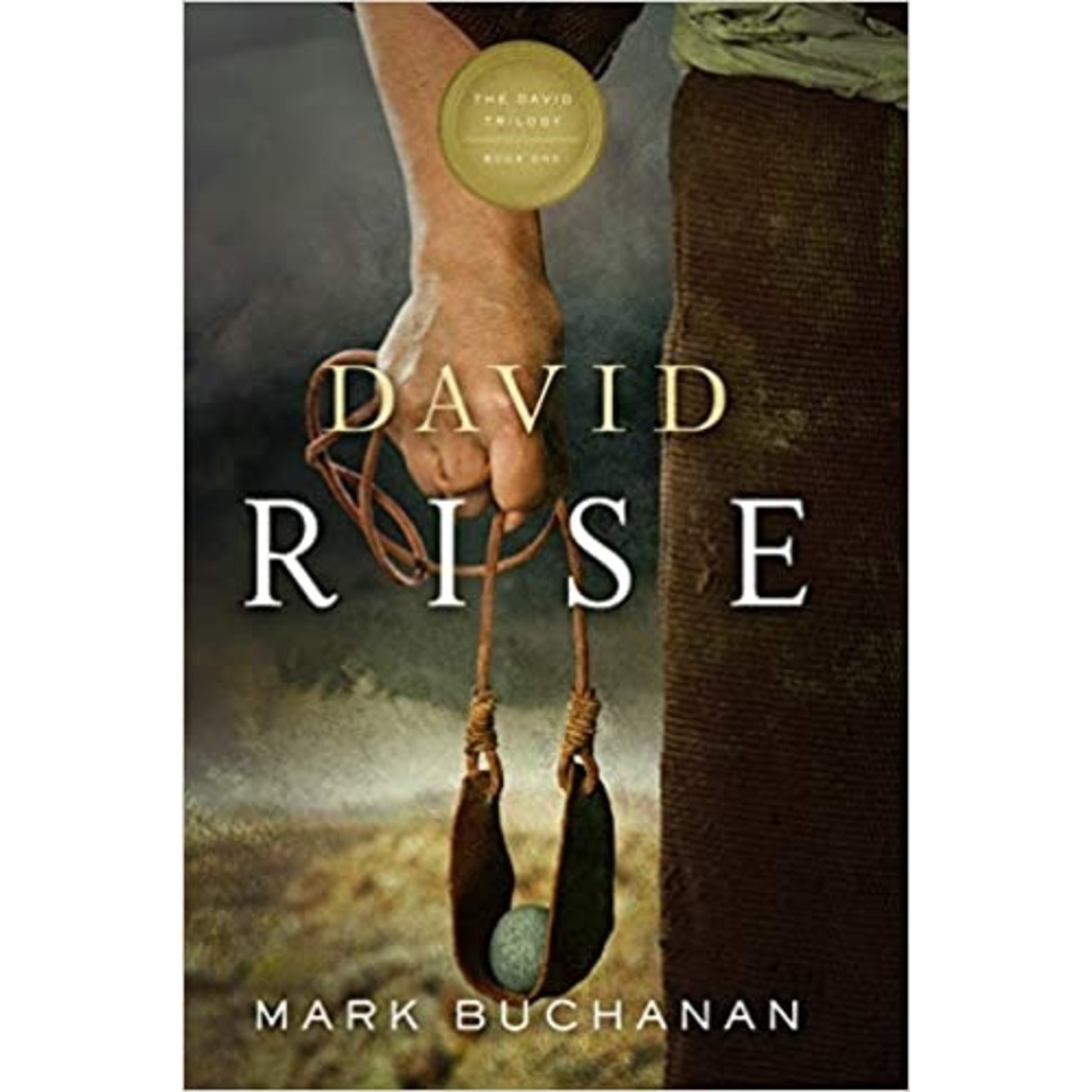 David: Rise (Book 1 by Mark Buchanan)