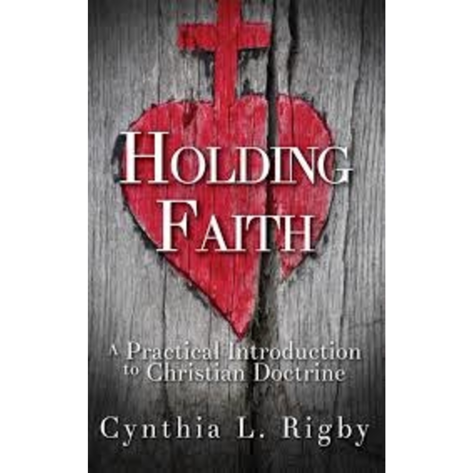 Abingdon Press Holding Faith: A Practical Introduction
