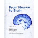 From Neuron to Brain USED