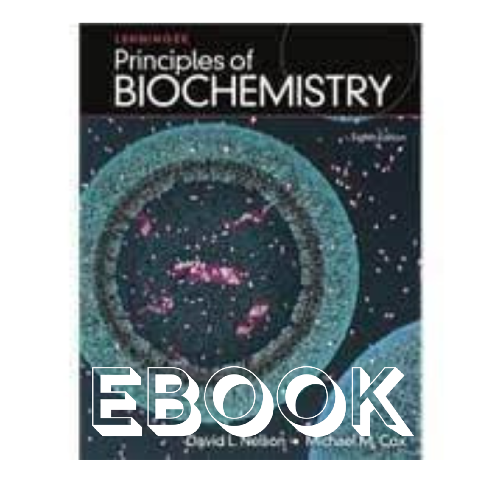 Macmillan Lehninger Principles of Biochemistry EBOOK + Achieve