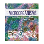 Pearson Brock Biology of Microorganisms EBOOK + Mastering