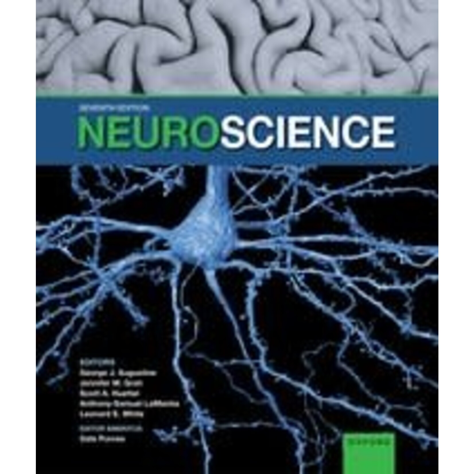 Neuroscience 7th Ed.