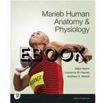 Pearson Human Anatomy & Physiology 12th Edition EBOOK