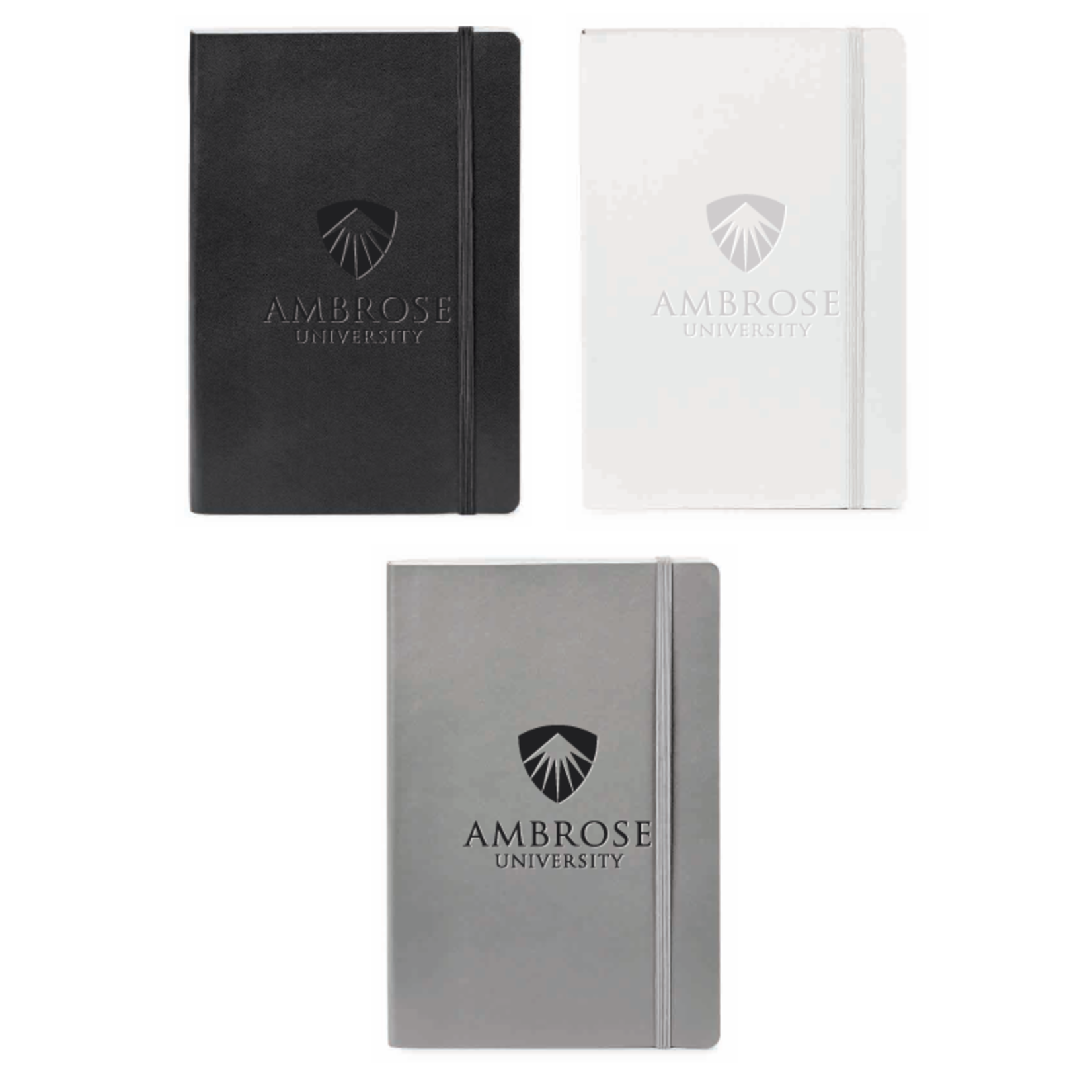 Neoskin Ambrose University Journal  - Center Logo