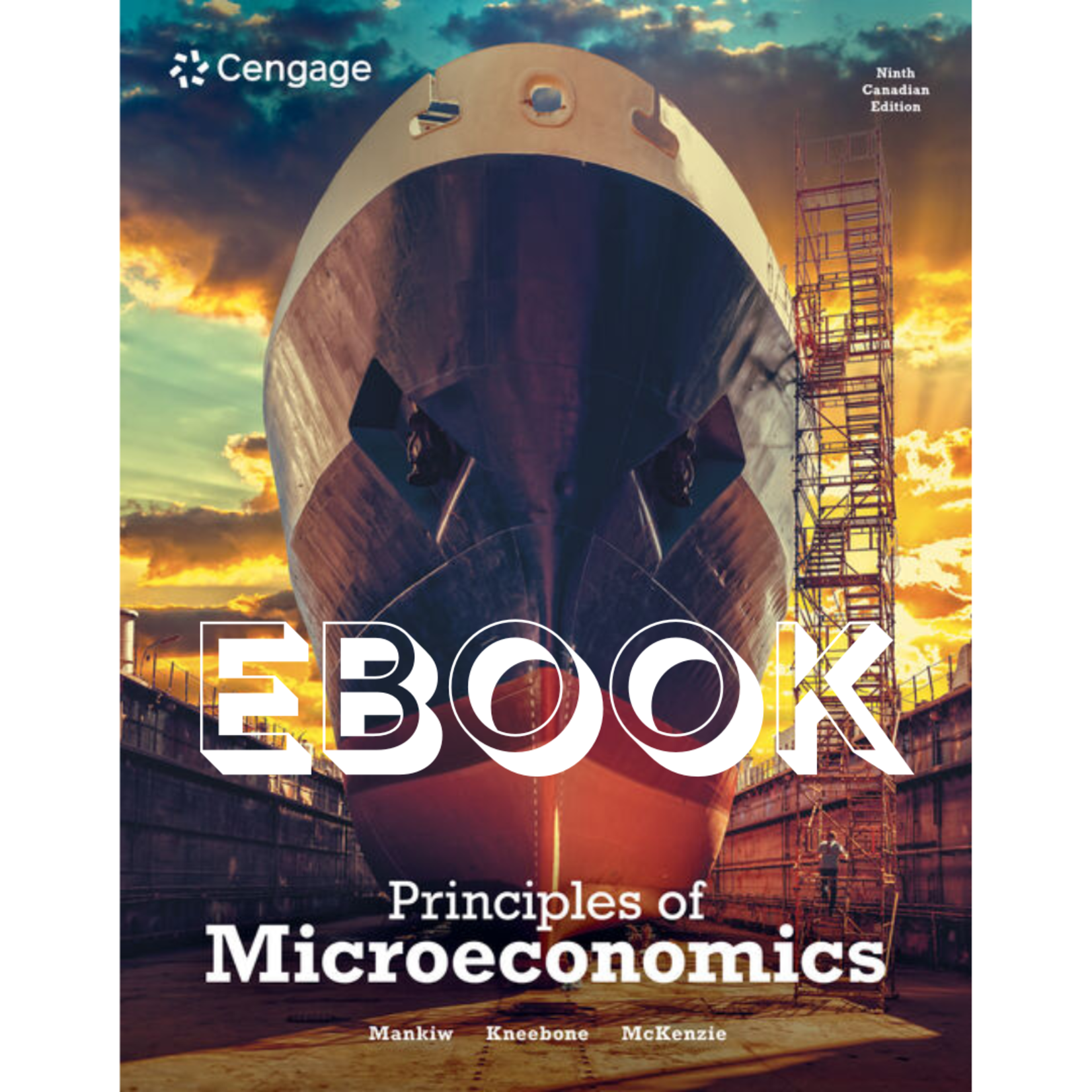 Cengage Principles of Microeconomics EBOOK + Mindtap