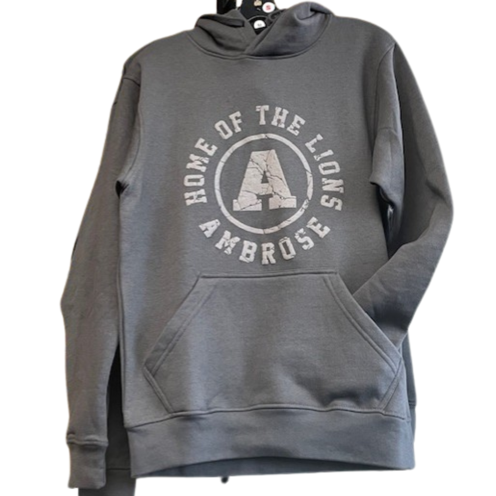 Home of the Lions Hoodie - Puff print