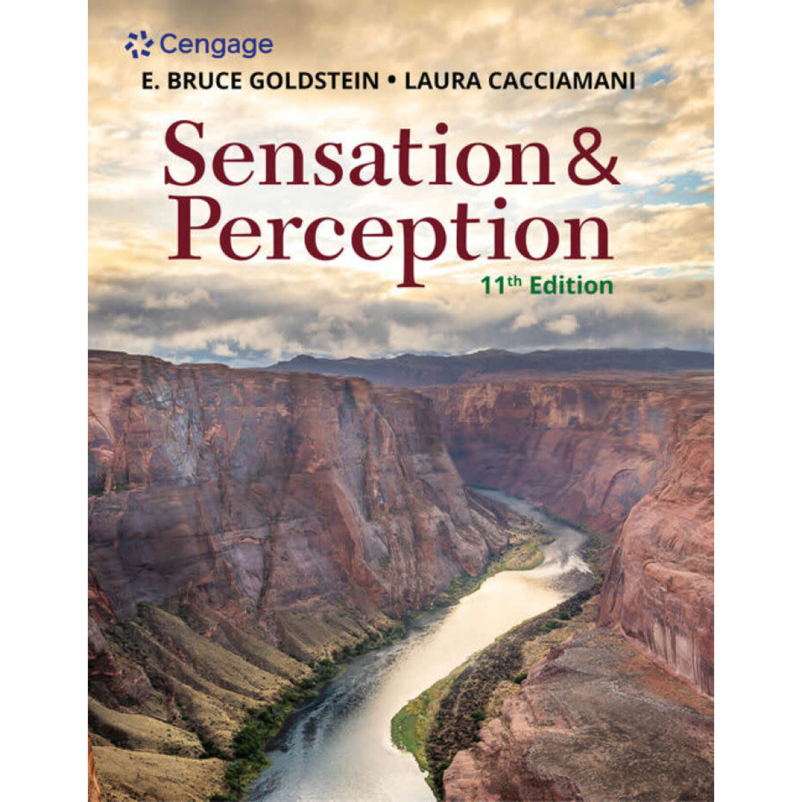 Sensation and Perception 11th ed EBOOK