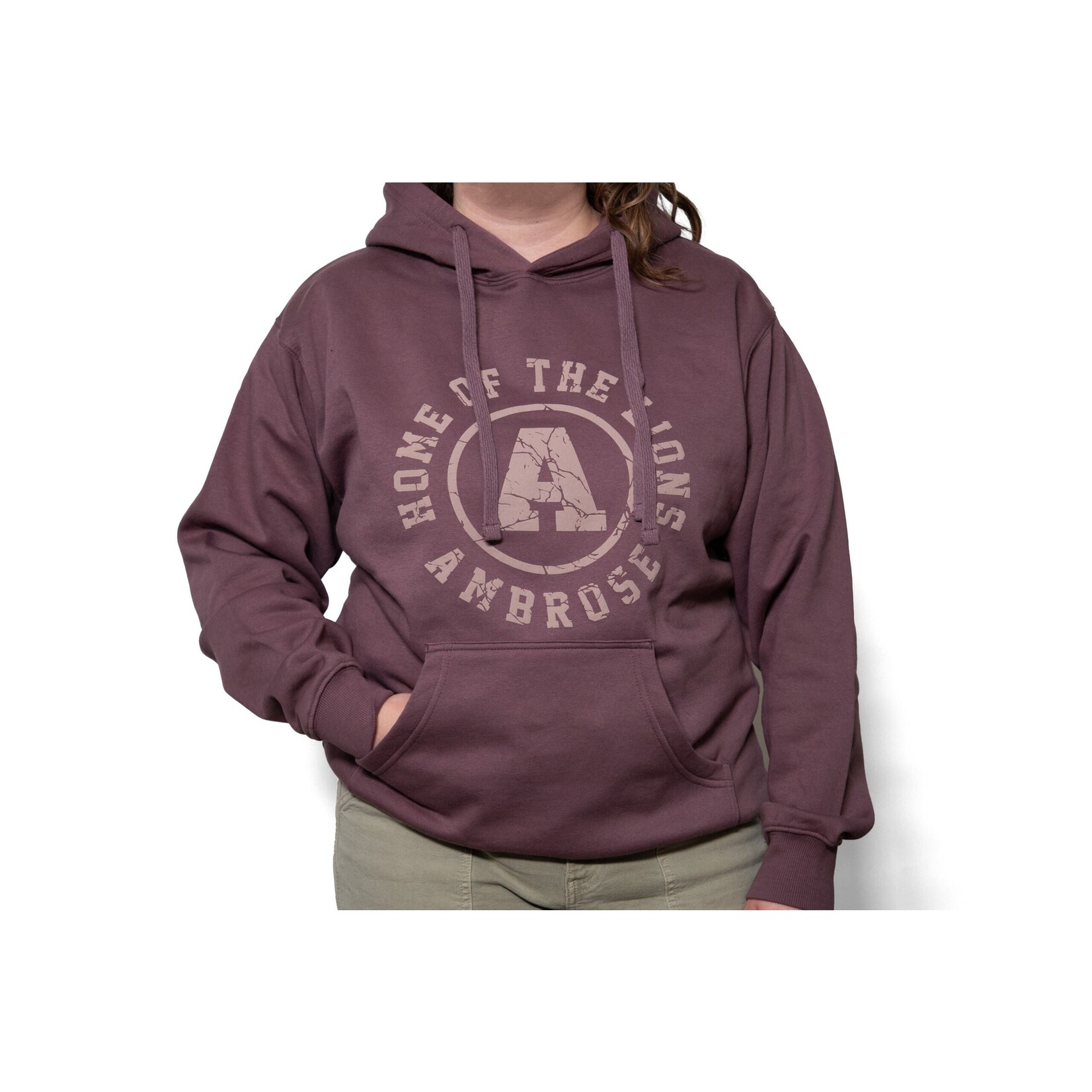 Home of the Lions Hoodie - Puff print
