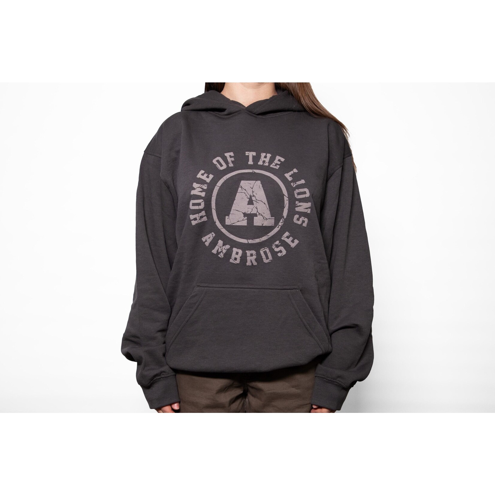 Home of the Lions Hoodie - Puff print