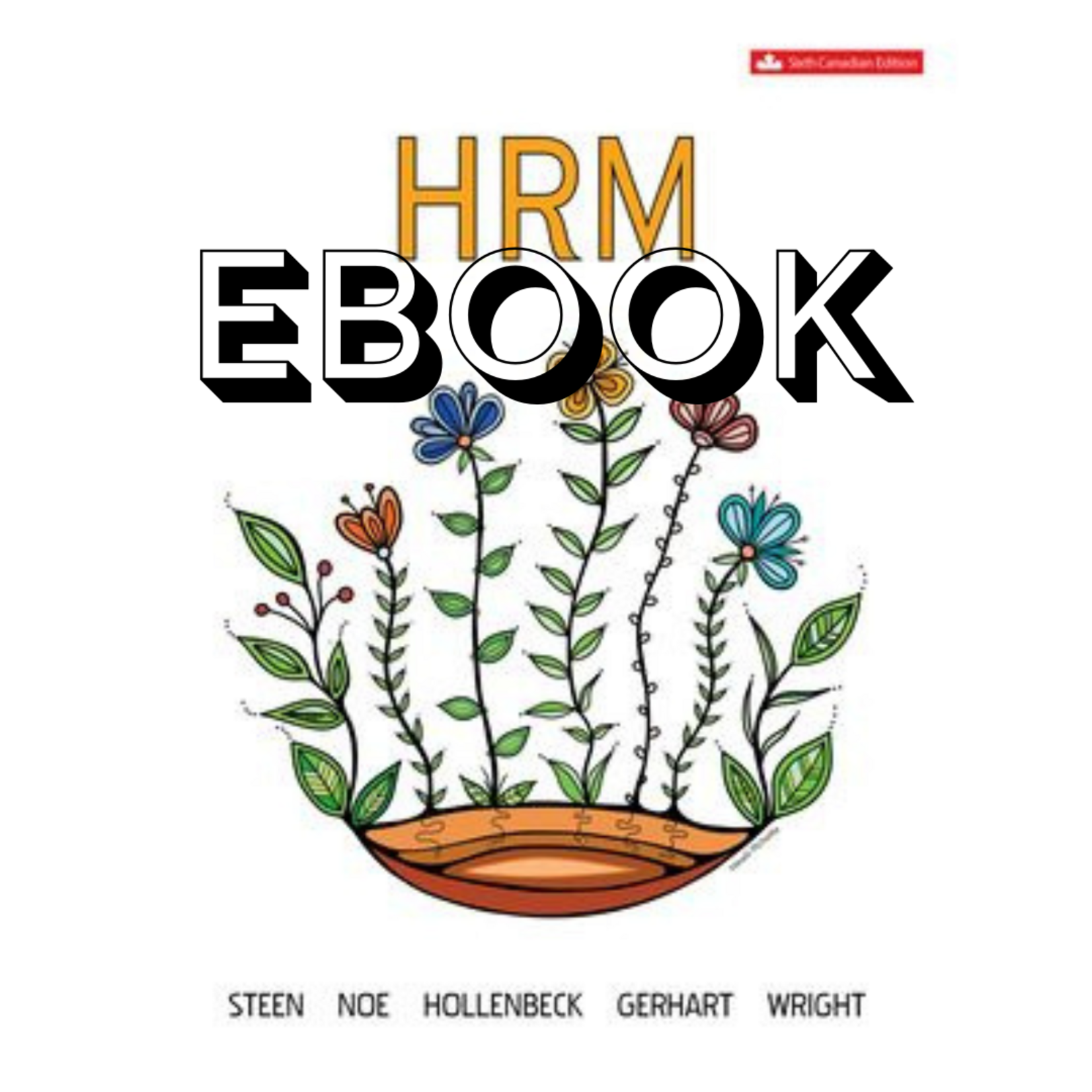 McGraw-Hill HRM Human Resource Management EBOOK + Connect