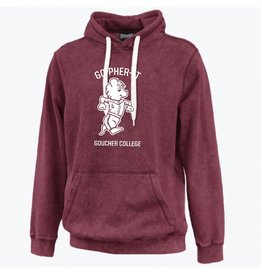 Pennant Sandwash Hoodie "Retro Go-Pher-It"