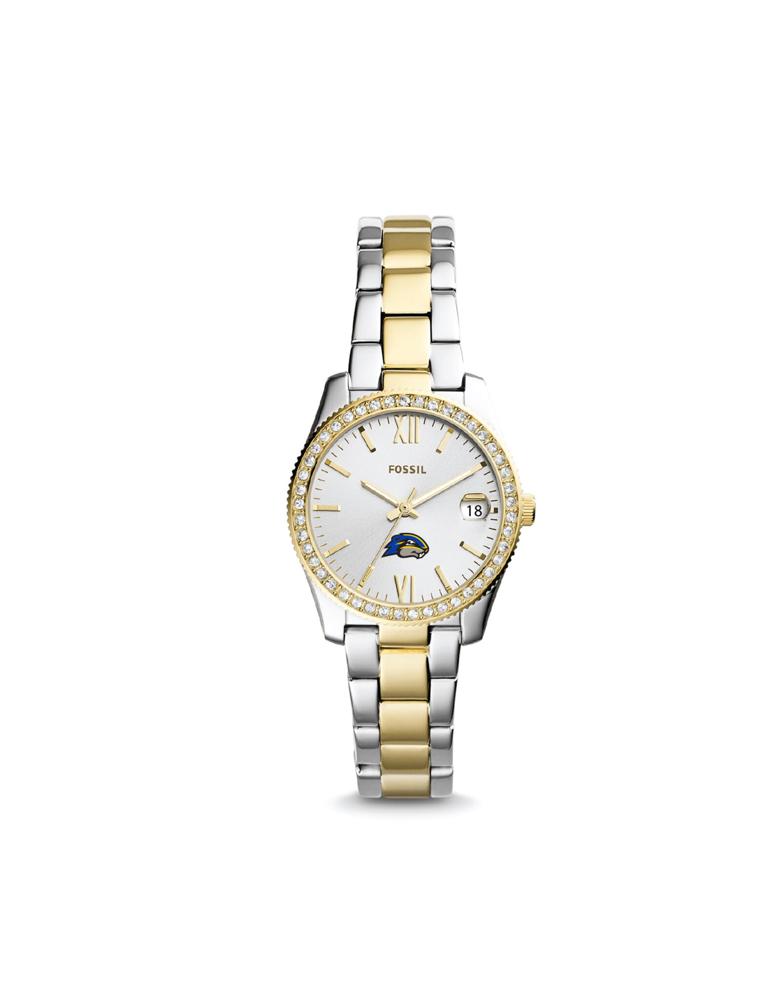 Fossil Women's Two-Tone Stainless Steel Wristwatch "Gopher"