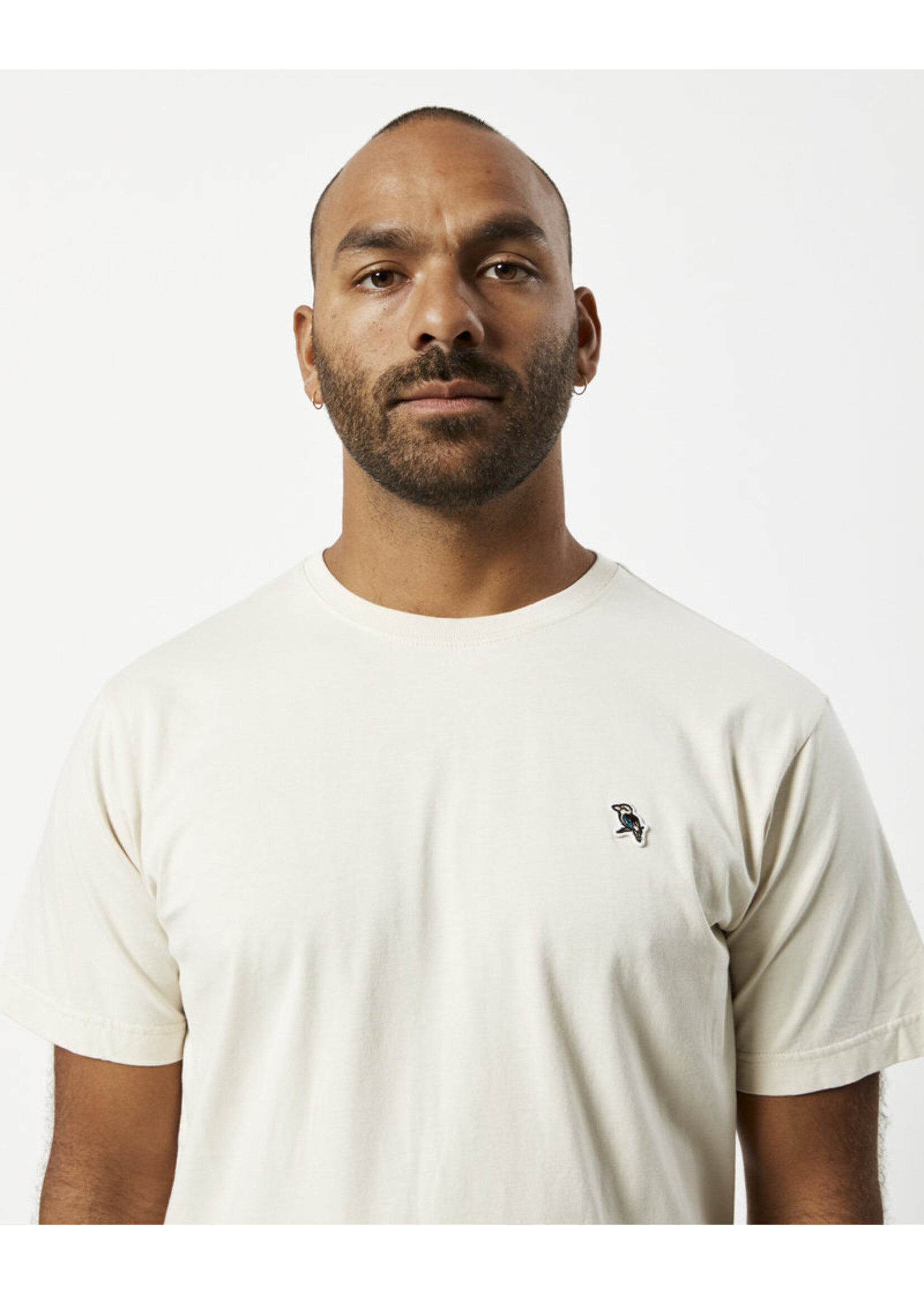 Mr Simple Chapman Kookaburra