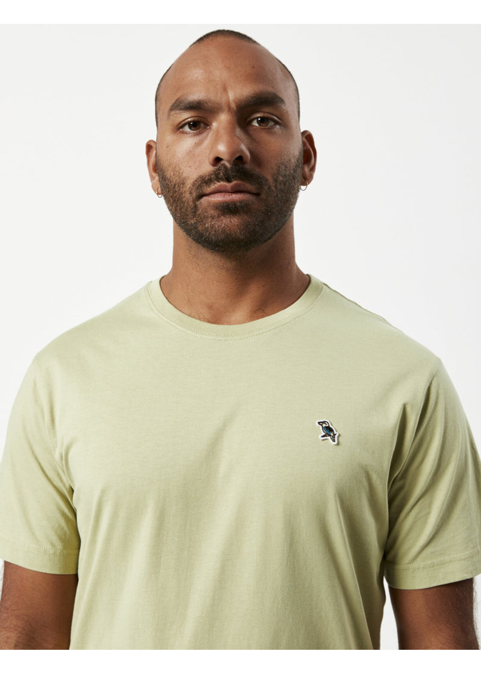 Mr Simple Chapman Kookaburra