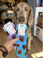 red fox sox Kevin Bamboo Socks