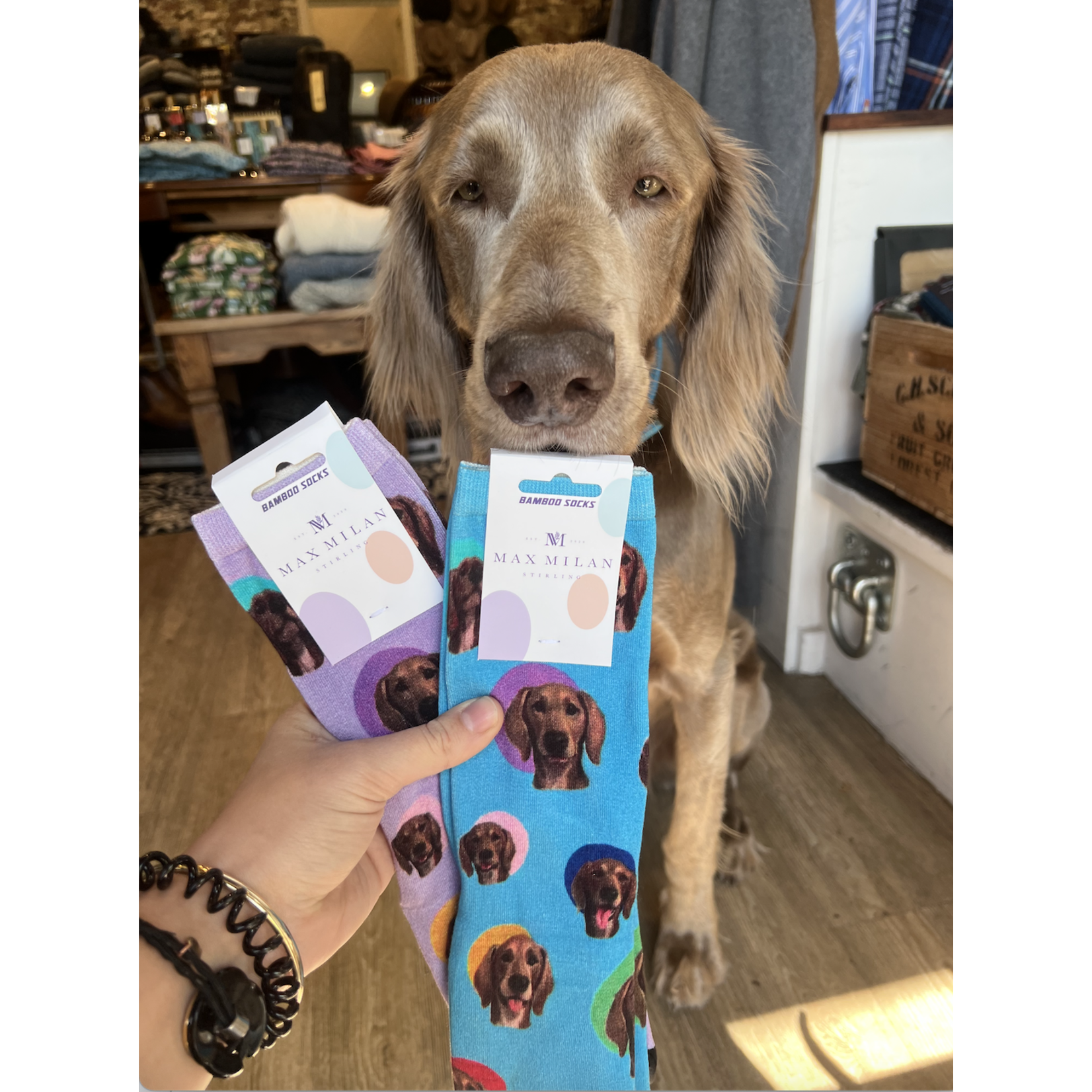 red fox sox Kevin Bamboo Socks