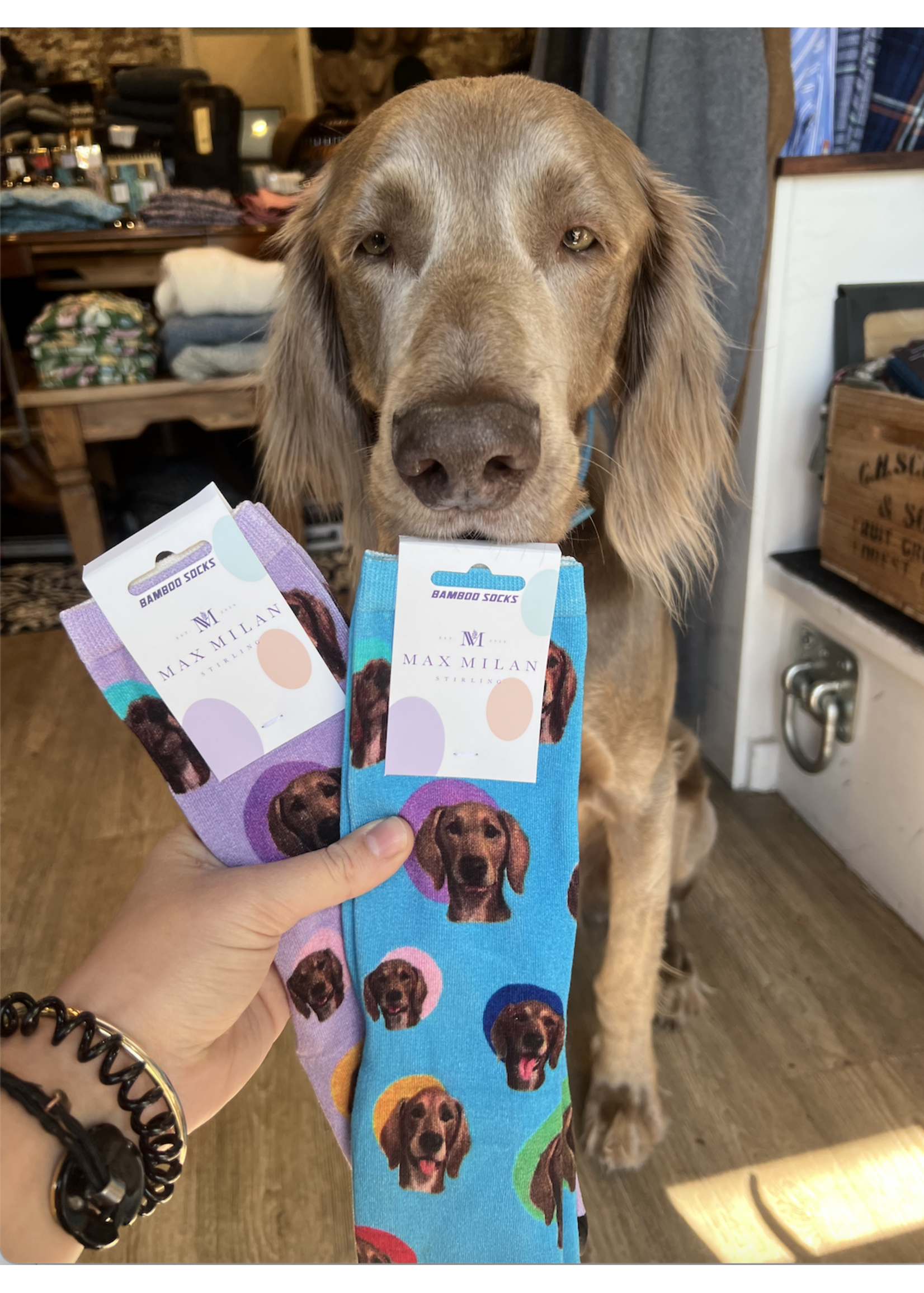 red fox sox Kevin Bamboo Socks