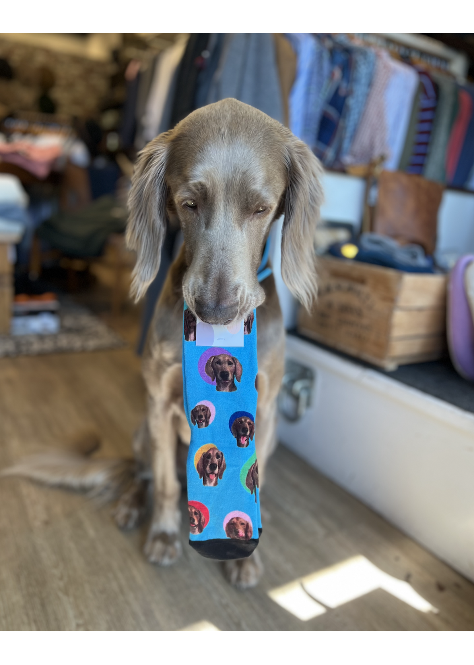 red fox sox Kevin Bamboo Socks