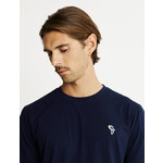 Mr Simple Chapman rosella