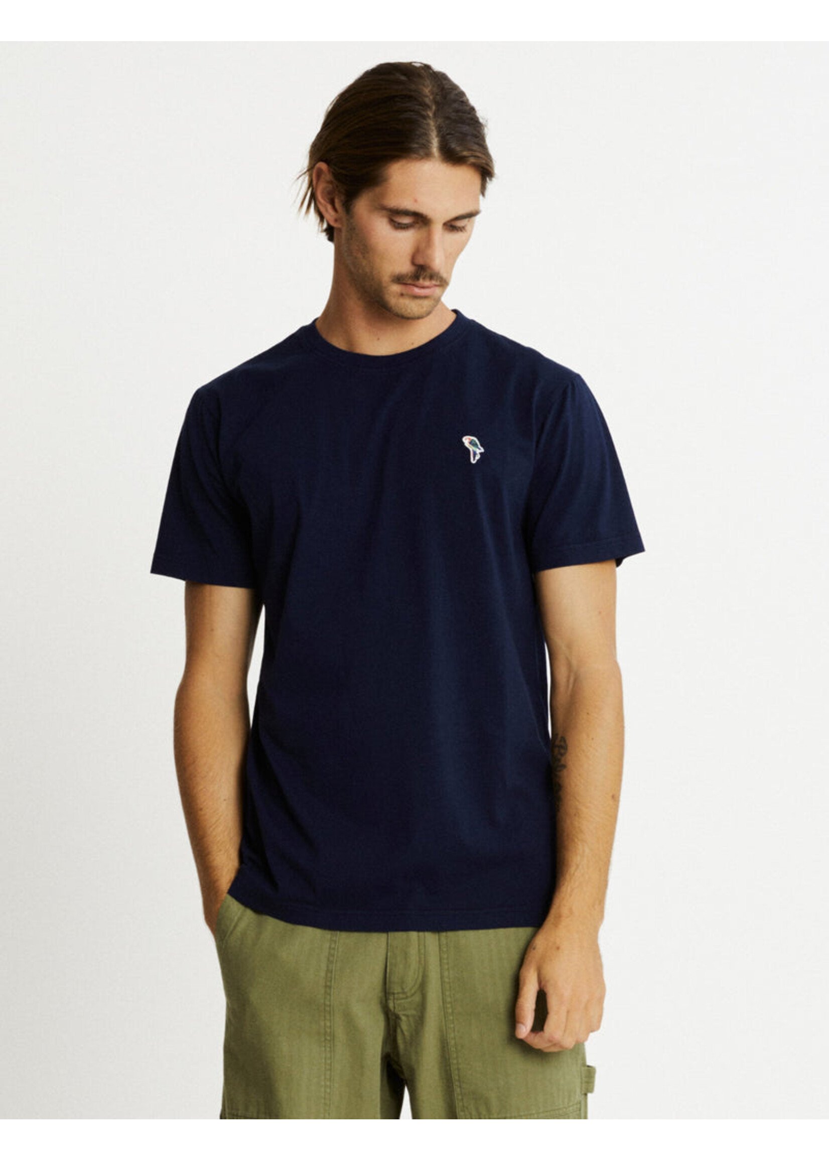 Mr Simple Chapman rosella