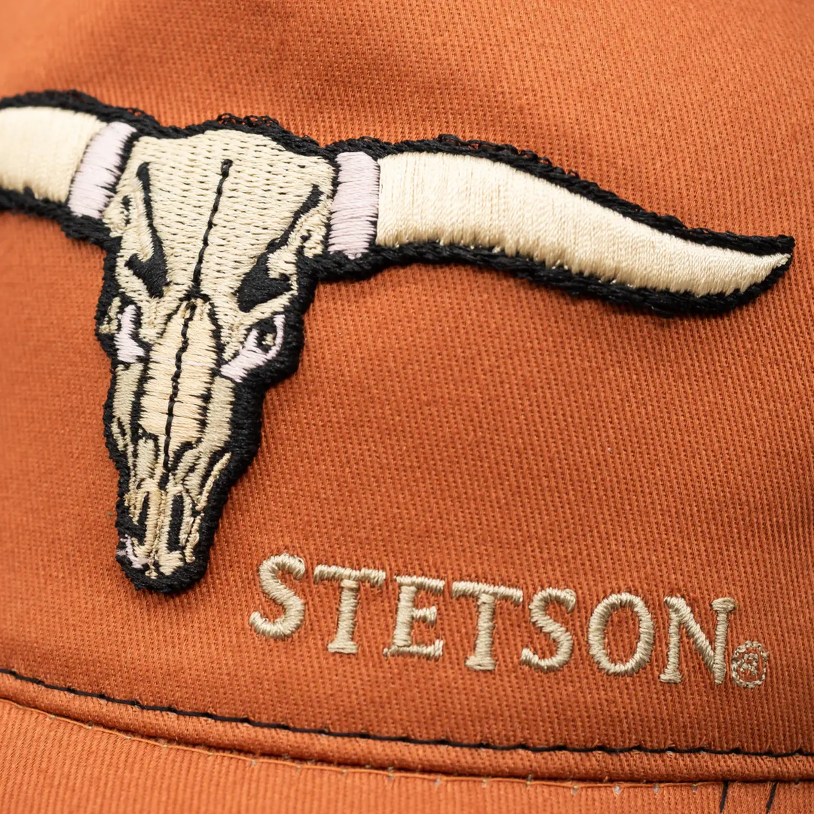 Stetson Stetson buffalo horns trucker