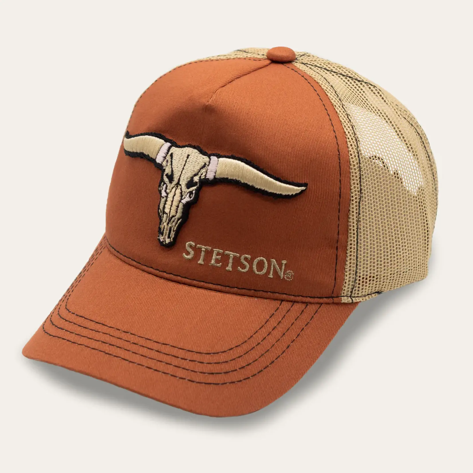 Stetson Stetson buffalo horns trucker